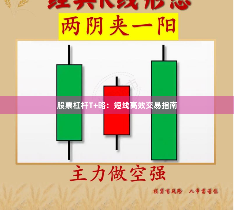 股票杠杆T+略:短线高效交易指南